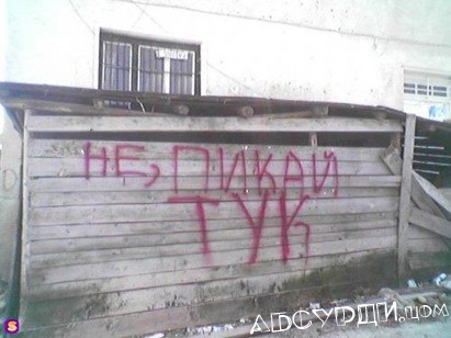 [big_1235024013_378.jpg]