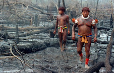 Deforestation results to natives