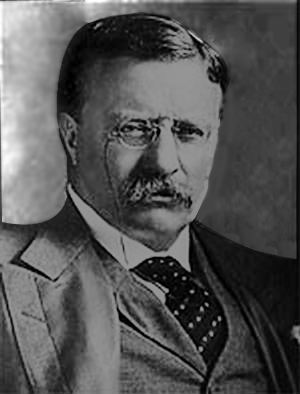 Theodore roosevelt's essay on hyphen