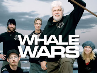 whale wars watching worth anti whaling conservationists april