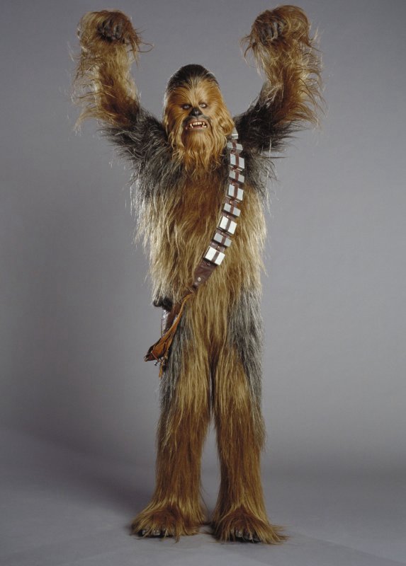 wookie-736962%255B1%255D.jpg