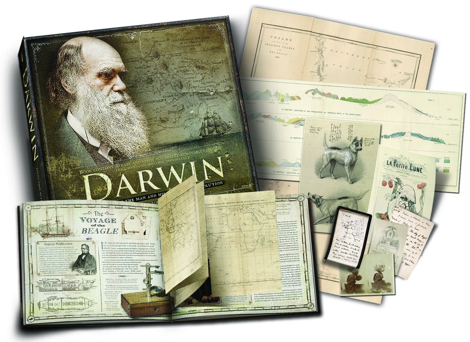 [Darwinpuzzle2.jpg]