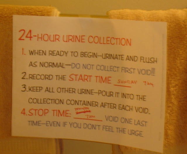 collection of a 24 hour urine specimen 24 hour urine specimen collection 24 hour urine collection instructions: on the day of collection, select a convenient time to start, urinate into toilet and note. collection of a 24 hour urine specimen 24 hour urine specimen collection 24 hour urine collection instructions: on the day of collection, select a convenient time to start, urinate into toilet and note.