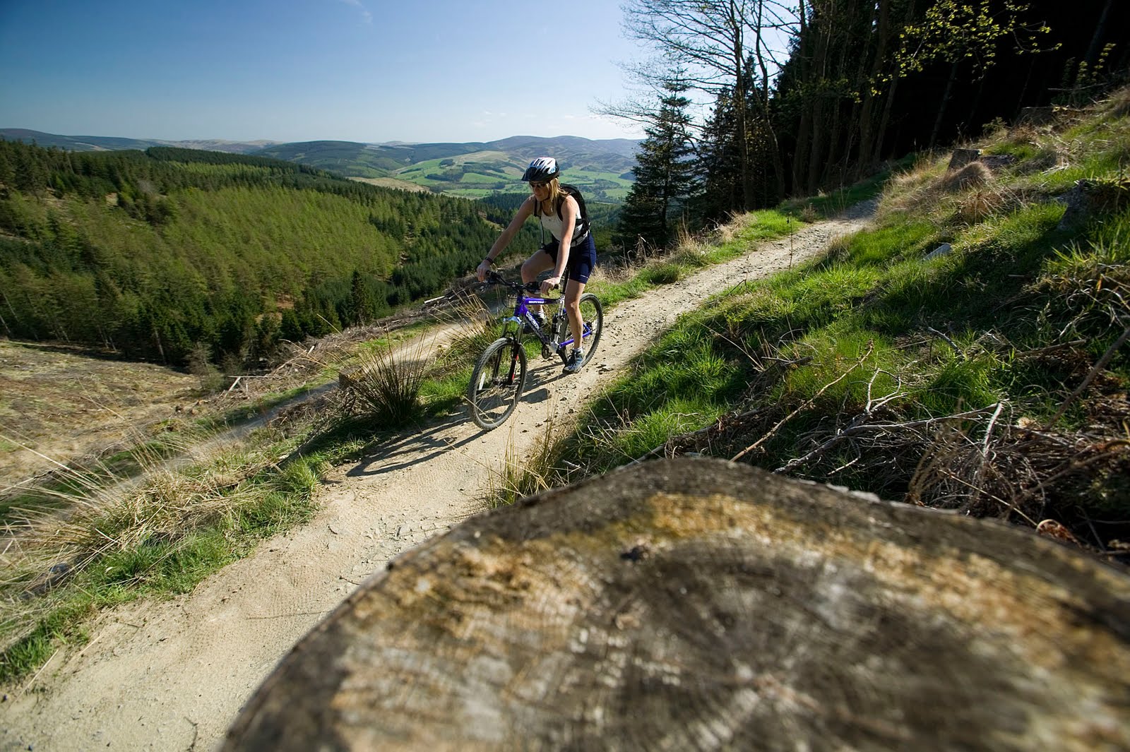 Big Tree Campervans 5 Campervan Hotspots For Family Mountain Biking
