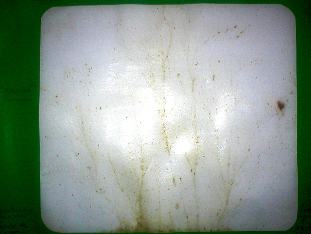 [P1010007.JPG]