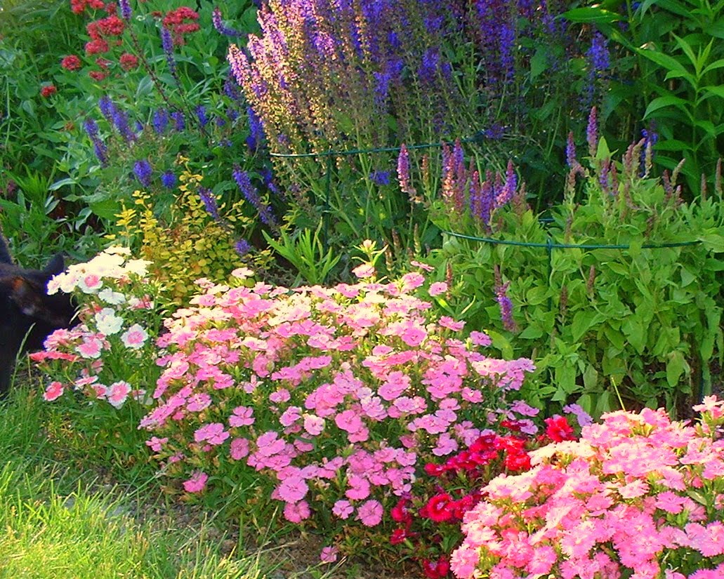 The Glorious Garden Get Ready, Get Set, Zone Change!