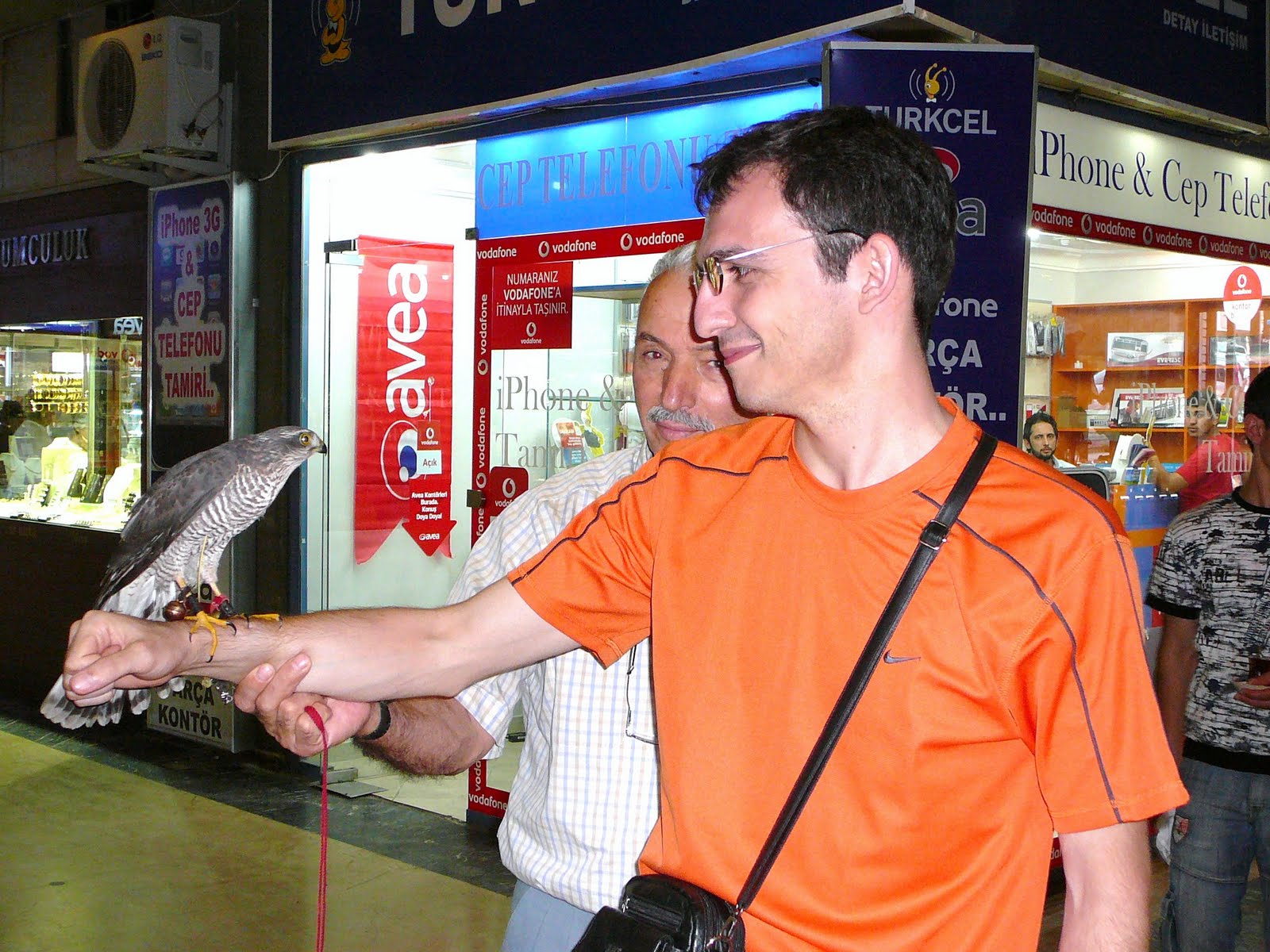 [P1180098.JPG]