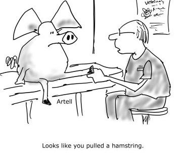 [hamstring.jpg]