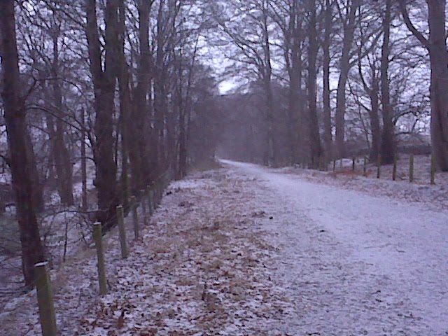 [=?utf-8?B?SU1HMDAyNjcuanBn?=-737079]