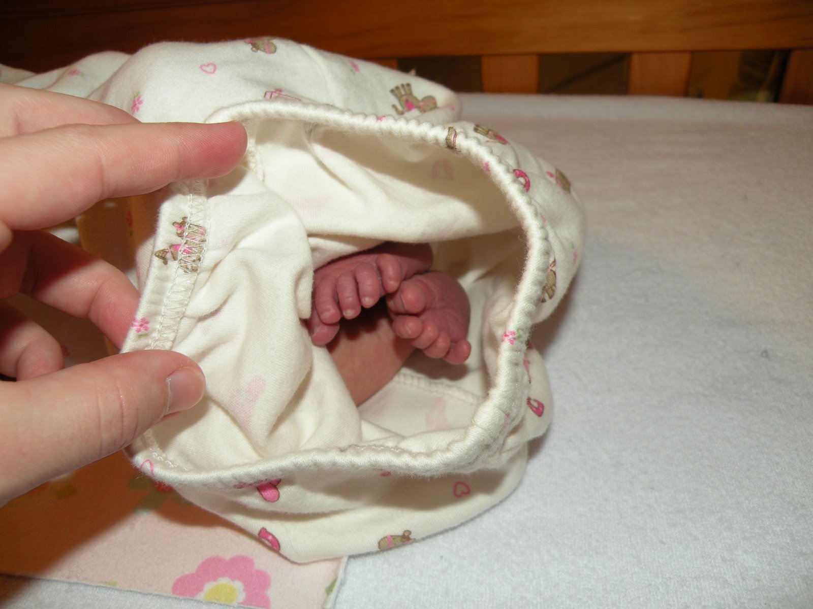[DSCN4974.JPG]