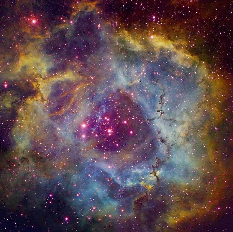 [NEBULOSA+ROSETA.jpg]