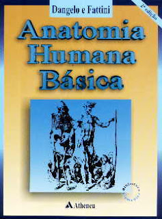 Anatomia Humana Básica