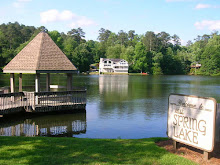 Roswell East Spring Lake