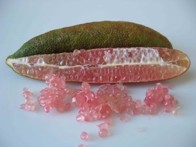 Red Finger Lime