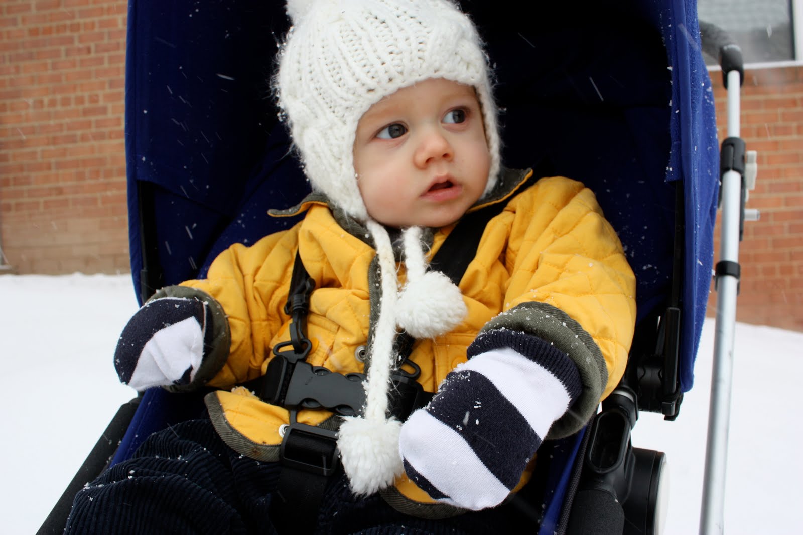 [IMG_4381.JPG]