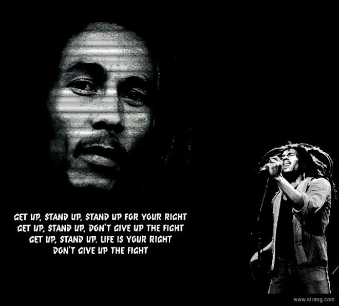 breve historia de bob marley