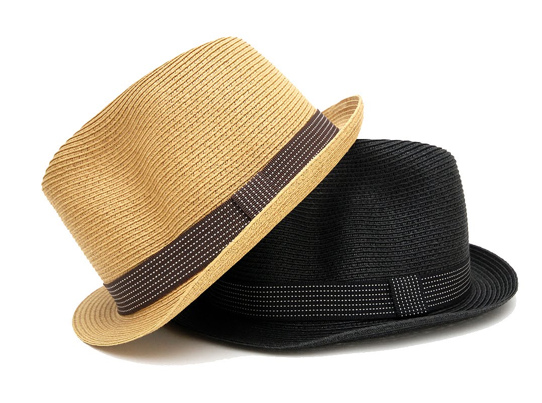 http://4.bp.blogspot.com/_4c8ipv24LdU/TJvWphCcVkI/AAAAAAAAIzI/MvTcFjC7XOo/s1600/paper_fedora_blk_tan.jpg