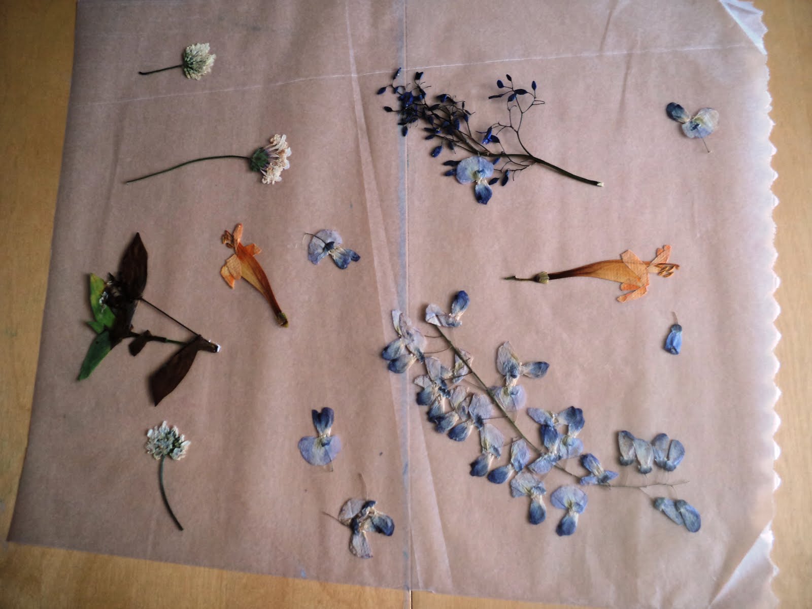 A Little Learning For Two Wax Paper Flower Hangings