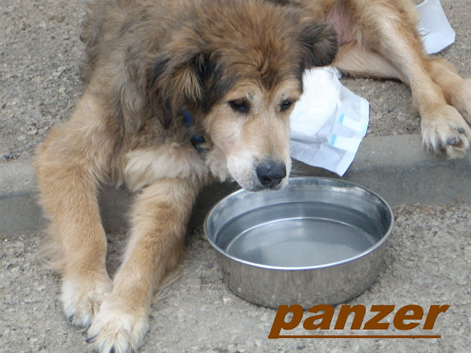 Grazie amici della Lega del Cane