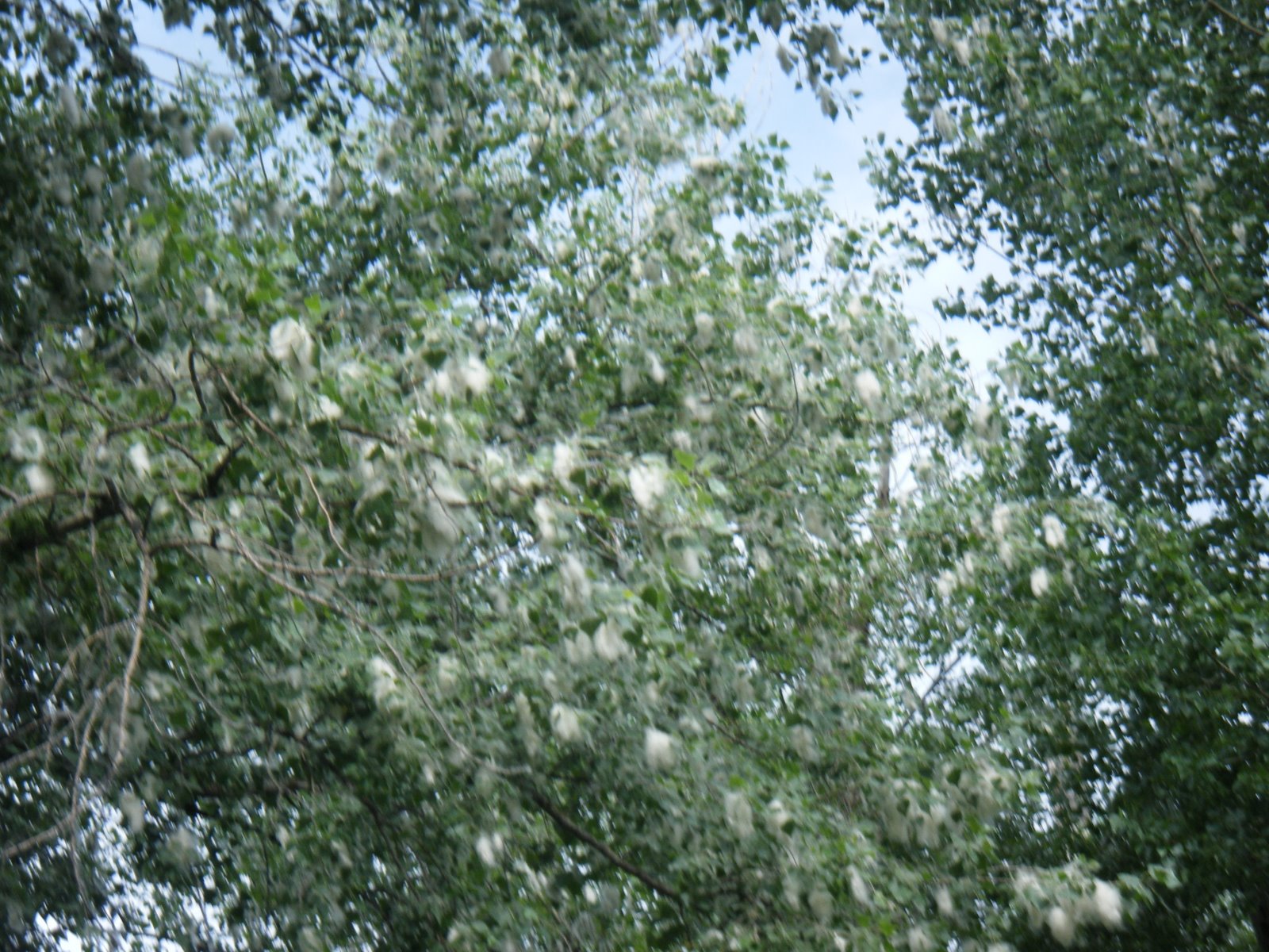 [DSCF0723.JPG]
