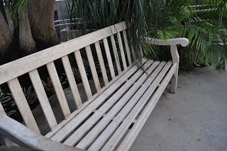 This is a picture of the bench I was sitting on when he asked
