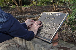 This is Darrell checking out a sign for Cherry Sage, it has a description in big letters that pop out of it and a braille description underneath that.