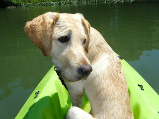 Bob sitting facing the front of the kayak but with his head and shoulders turned around looking at something behind me