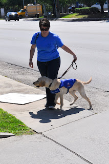 Bob and I coming back up onto the side-walk after passing up a cardboard box.