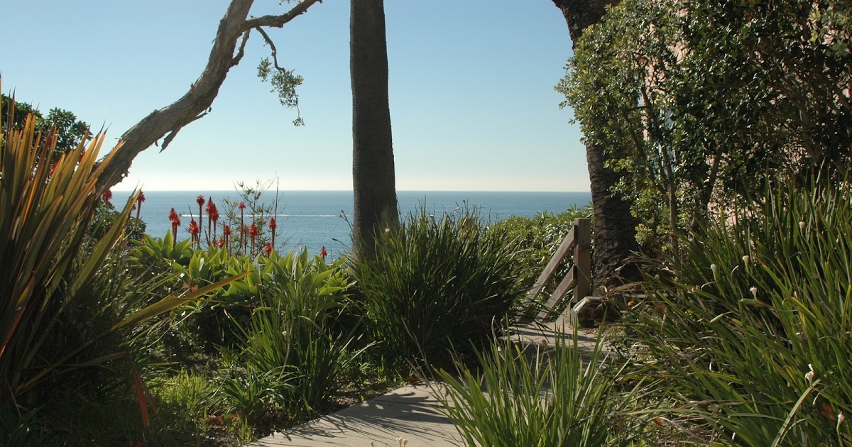 Southern California DayTrippin Sunday December 28, 2008 Ruby St. Park