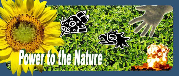 Power to the nature