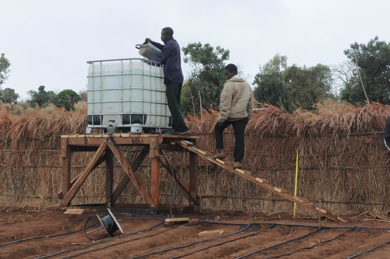 Manna 4 Malawi Gravity Drip Irrigation at Matapila