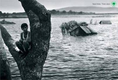 Save our forest. Prevent floods and save lives