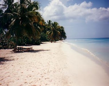 Dominican Republic Beach