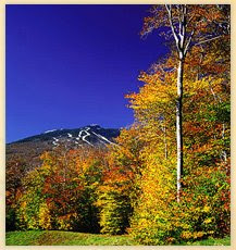 Vermont Changing Leaves