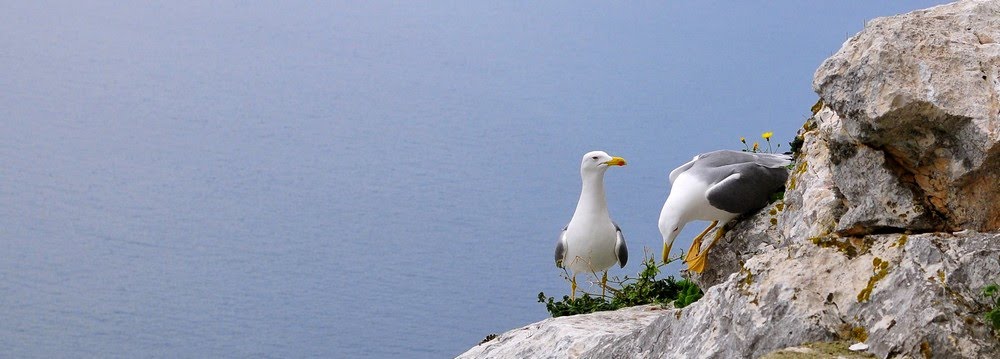 [Image005.jpg]