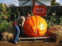 lifting pumpkin