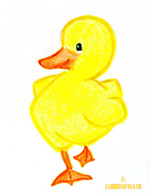 canard.jpg