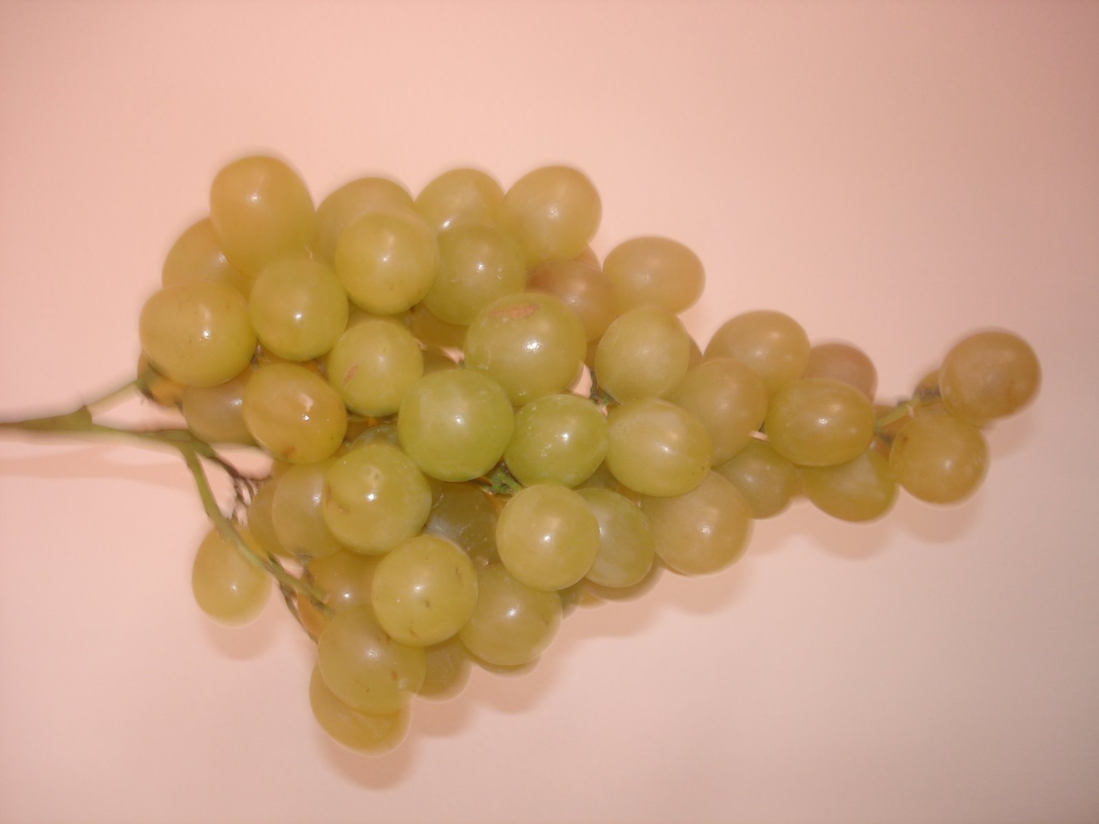 [DSC09350.JPG]