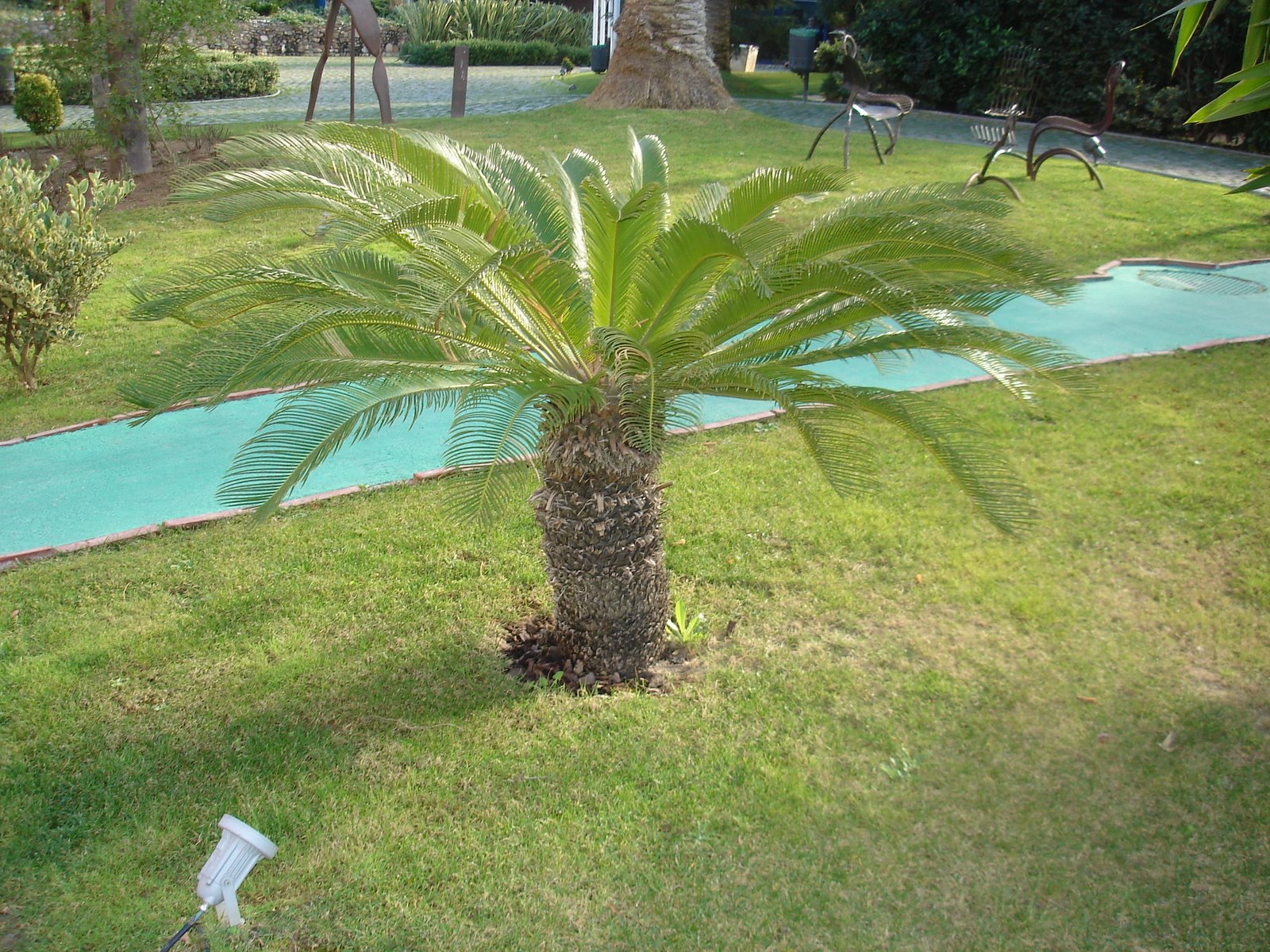 [DSC08497.JPG]