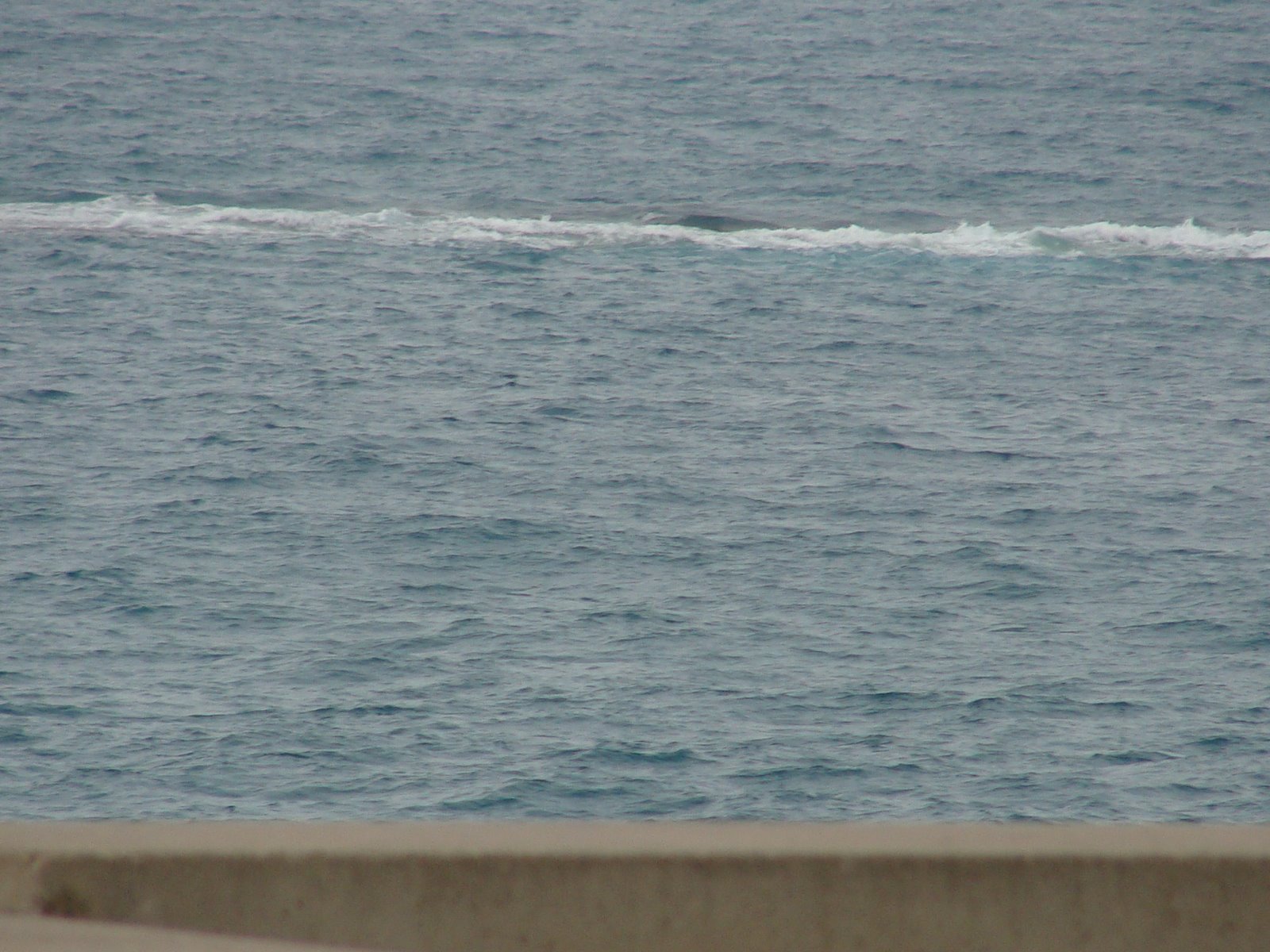 [DSC07976.JPG]