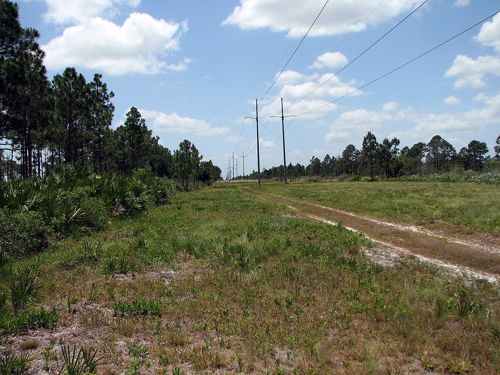 [2007_0507_124941-Resized.jpg]