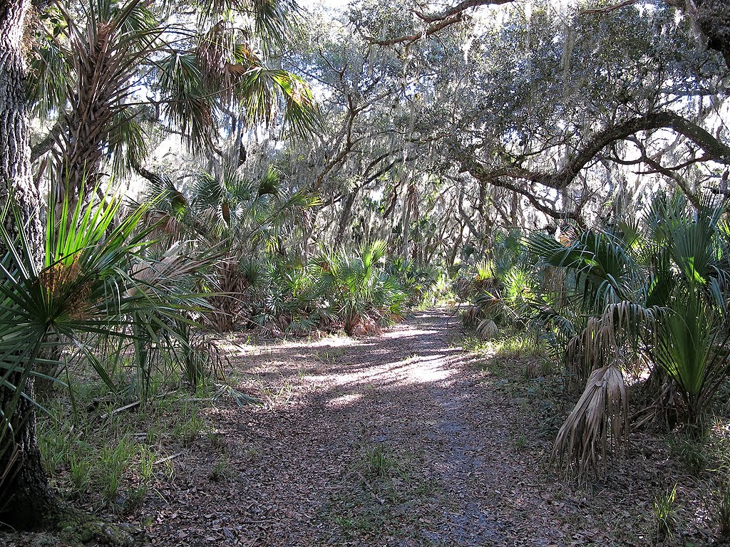 [2010_0112_145926_DxO-Resized.jpg]