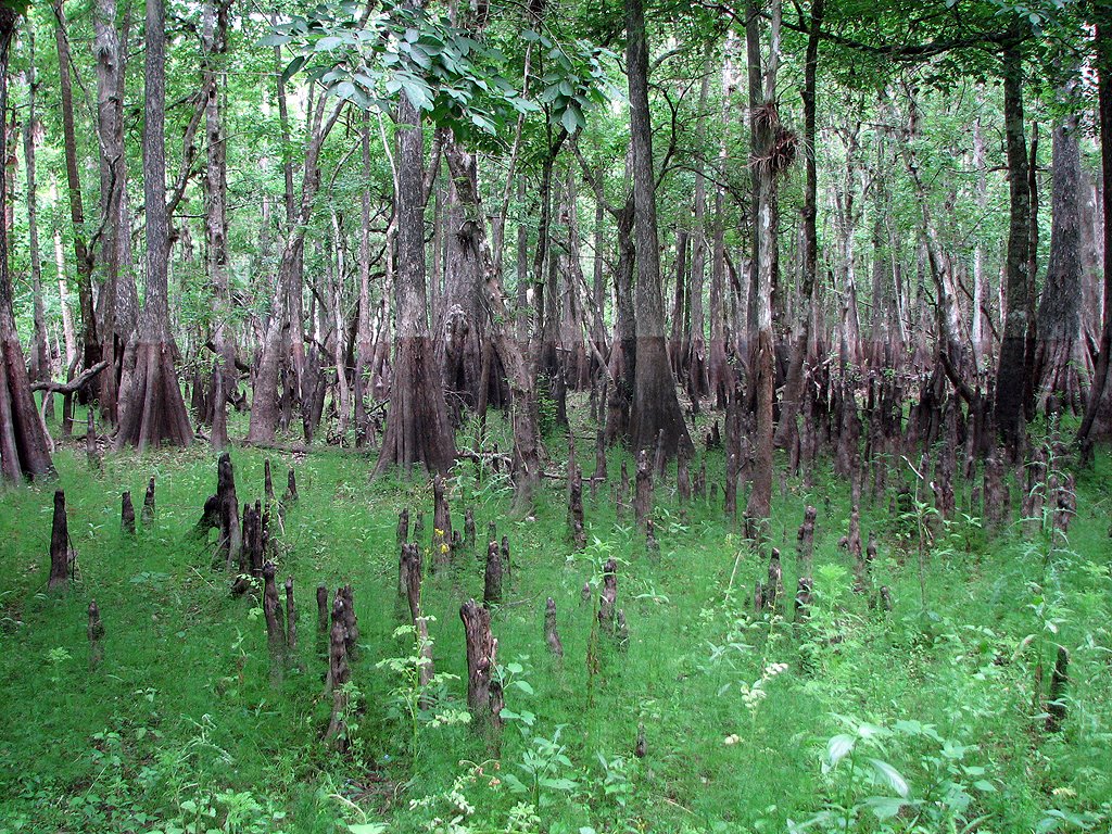 [2009_0509_112532-Resized.jpg]