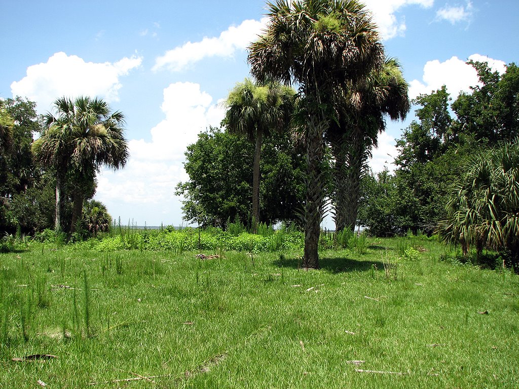 [Moccasin+Mound-Resized.jpg]
