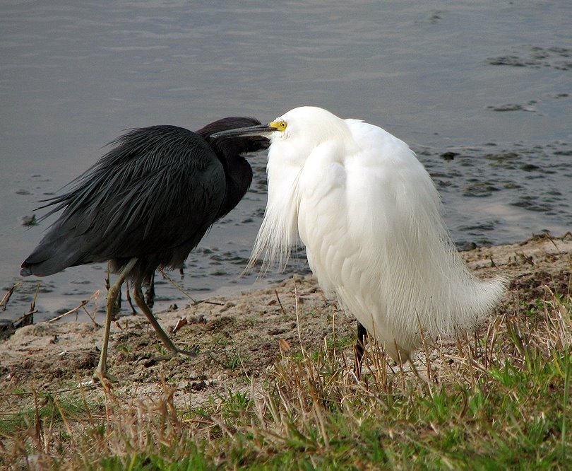 [2007_0304_091232-Resized.jpg]