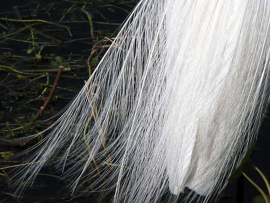 [2008_0216_100658-Resized.jpg]