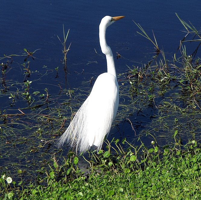 [2008_0216_100719-Resized.jpg]