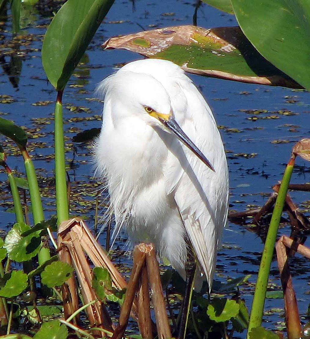 [2008_0216_101607-Resized.jpg]