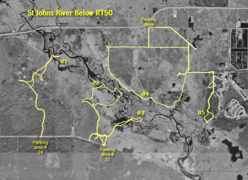 [St+Johns+River+Below+RT50+Hikes.jpg]