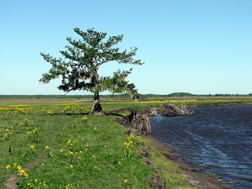 [5-1+Below+RT50-Resized.jpg]